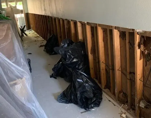 Flood-cut wall with exposed studs documented before drying in a North Richland Hills home