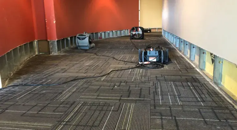 Commercial Water Damage in North Richland Hills, TX