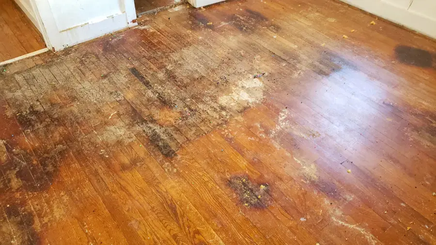 Hardwood Floor Water Damage in North Richland Hills, TX