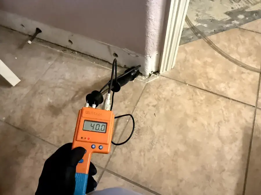 Moisture meter pressed against a damp wall in a Euless home, readings logged for the claim